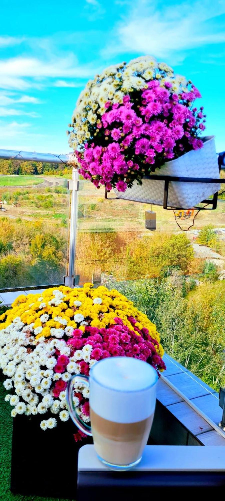 Apartament Penthouse View Aeroport Iasi 2 Zewnętrze zdjęcie